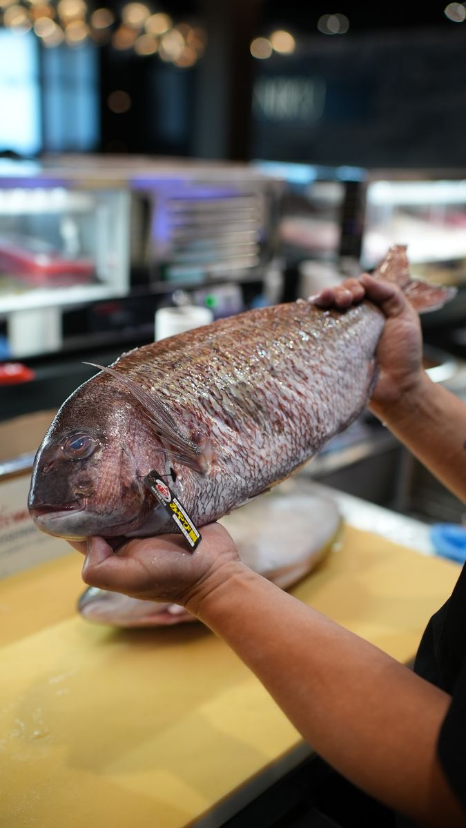 A cook holding a whole fish at the sushi counter